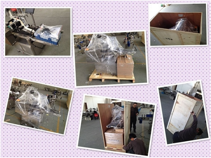 Contrôle automatique de PLC de machine d'étiquetage de bouteille ronde de moteur servo de HAY SUS304